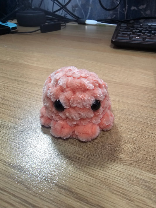 Mini Octopi