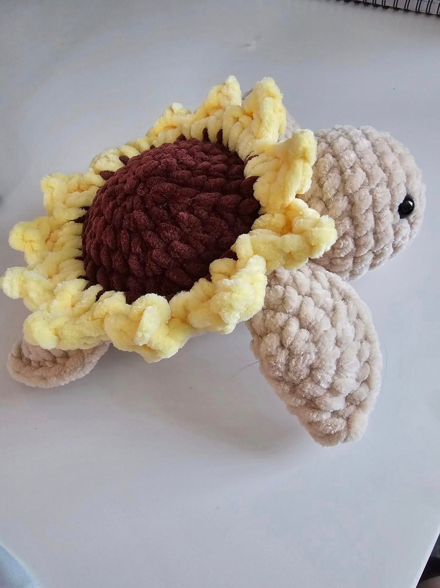 Sunflower Turtle