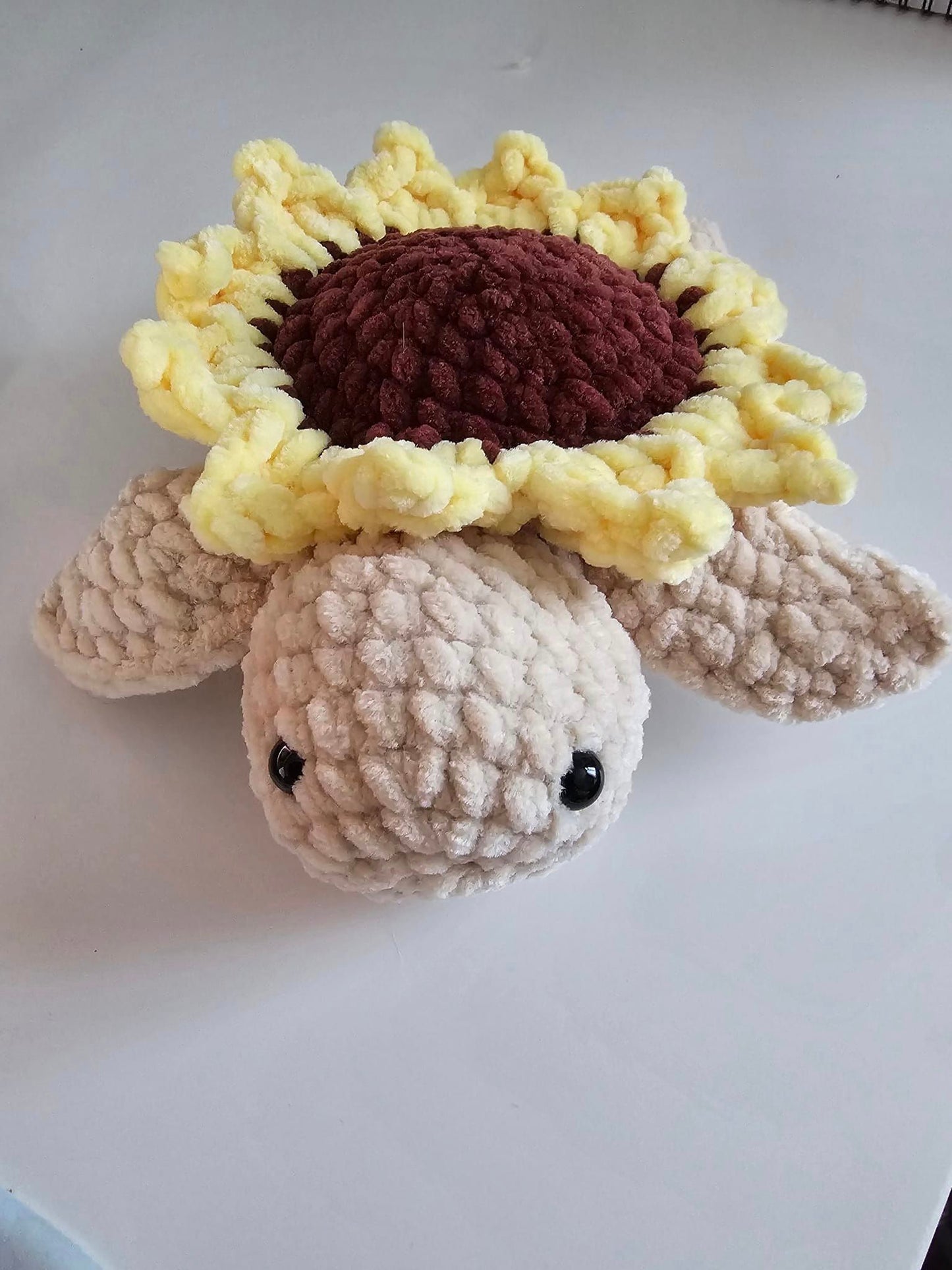 Sunflower Turtle